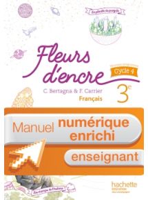 Licence découverte - 3 mois