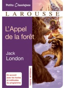 Licence par élève - 12 mois