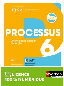 Processus 6 - Analyse de la situation financière - BTS CG 1re et 2e années - Coll. Les processus CG - Ed. 2024