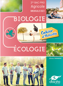 Licence par enseignant - 12 mois