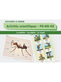 Activités scientifiques à la maternelle