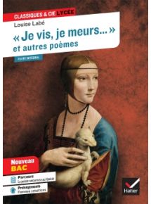 Licence par enseignant - 12 mois