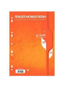 Feuillets mobiles perforés 21x29,7cm, uni dessin, 100 pages, 90g
