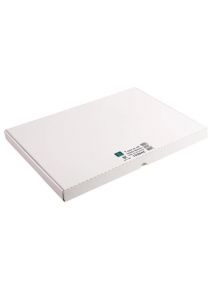 Etui 100 fiches bristol, blanc, 297x420